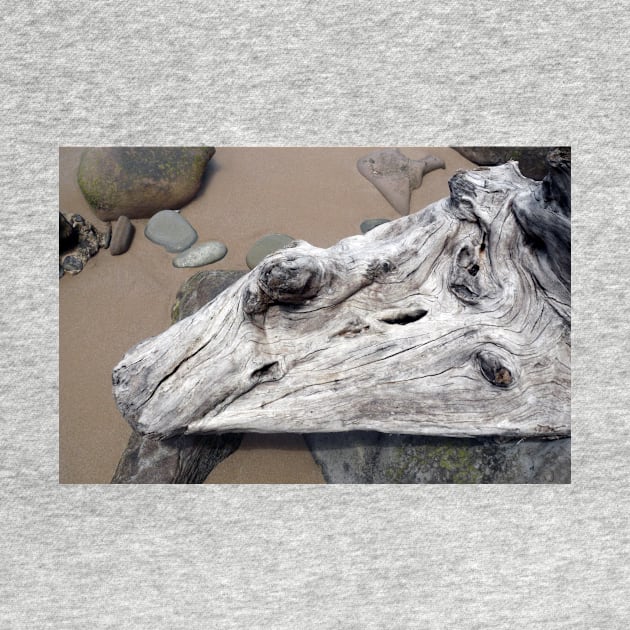 Weathered Driftwood by rozmcq